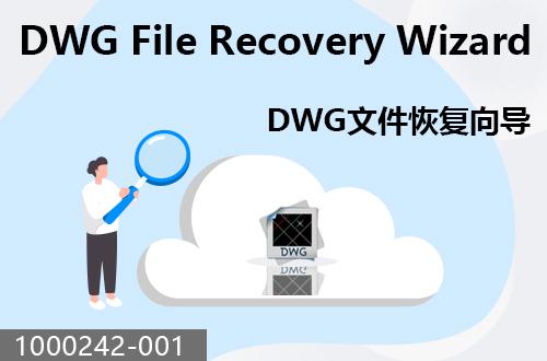 DWG文件恢復(fù)向?qū)?                              1000242-001