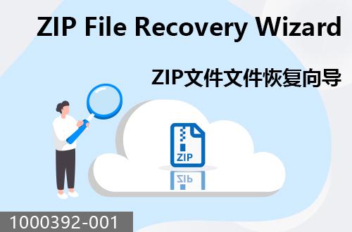 ZIP文件恢復(fù)向?qū)?                               1000392-001