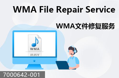 WMA文件恢復(fù)服務(wù)                                 7000642-001