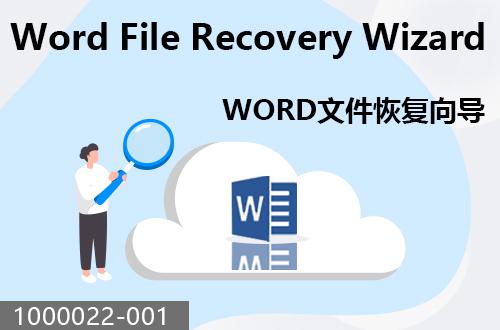 WORD文件恢復(fù)向?qū)?                               1000022-001